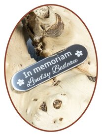 Edelstalen Spiegelgepolijst Graveerplaatje - GR005