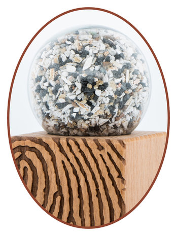Nature Mini Ash Urn Fingerprint - MU1020V