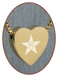 Stainless Steel 'Star/Paw' Heart Cremation Pendant Gold Plated - G304X4